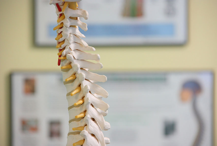 spinal-cord-injury-network